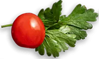 Mexislice