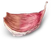 Mexislice