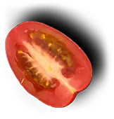 Mexislice